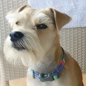 Meet your Posher, Kara